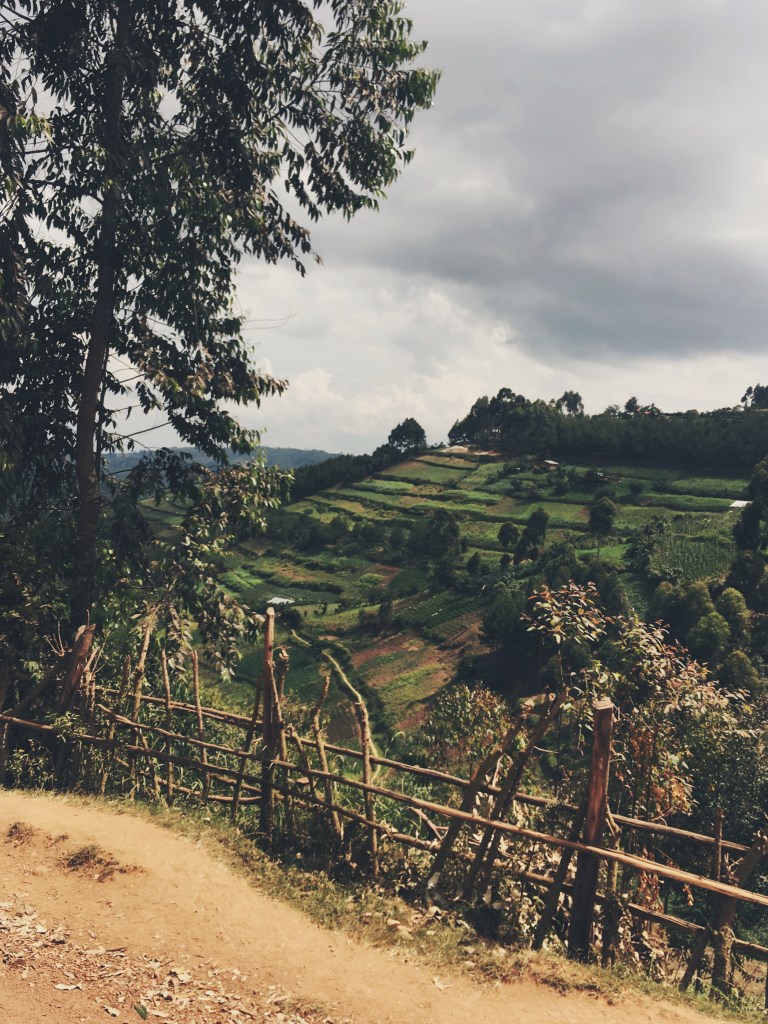 20435F08-8359-48A3-91BC-05C288801688